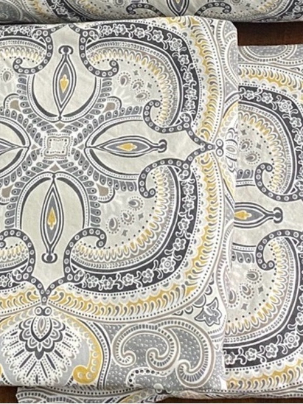 Pottery Barn Ainsley Euro Shams (2)